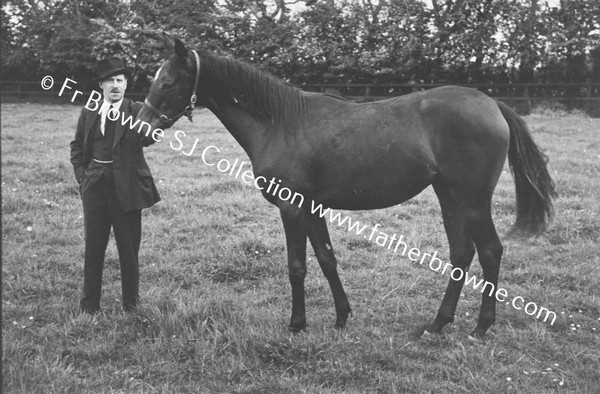 SHESLOON STUD   HORSES WITH ANDY MURRAY THE STUD GROOM